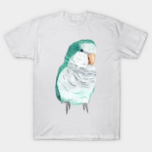 Conure veuve bleu perruche moine souris quaker aquarelle T-Shirt